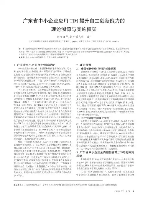 广东省中小企业应用TIM提升自主创新能力的理论溯源与实施框架