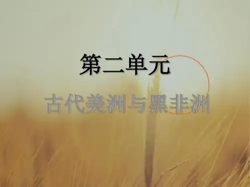 高一历史上华师大版课件：第二单元+古代美洲与黑非洲 