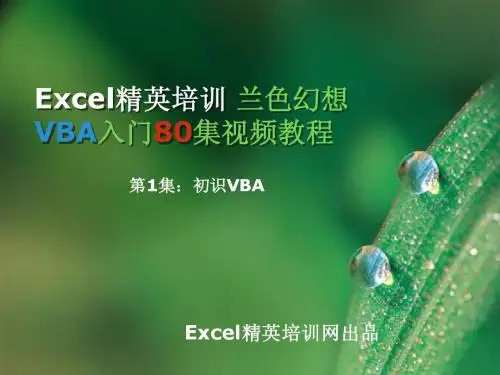 Excel精英培训 兰色幻想VBA入门80