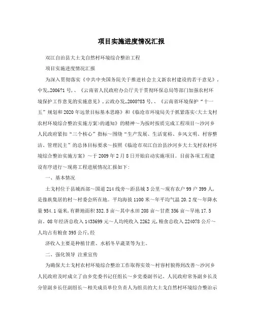 项目实施进度情况汇报
