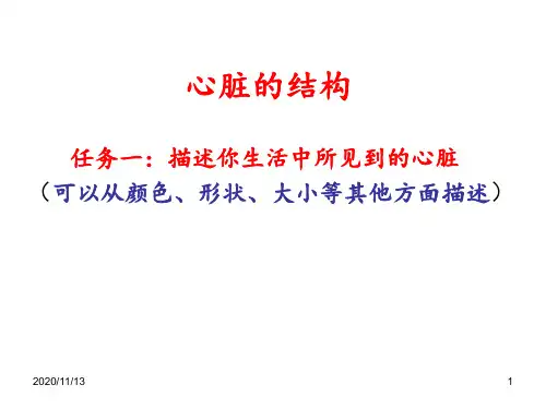 心脏的结构心结构图 ppt课件