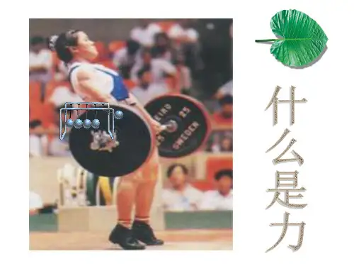 什么是力