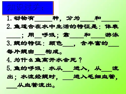 陆地上生活的动物高品质版