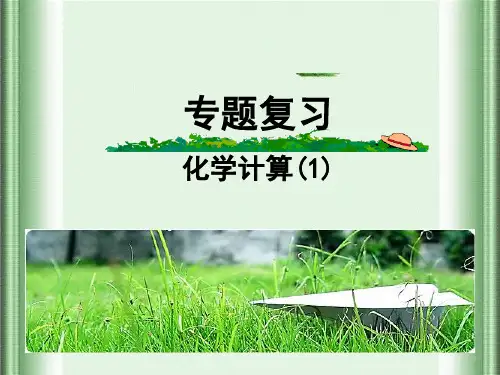 中考专题复习——化学计算ppt(精选文档)