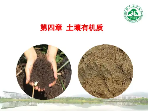 第四章 土壤有机质