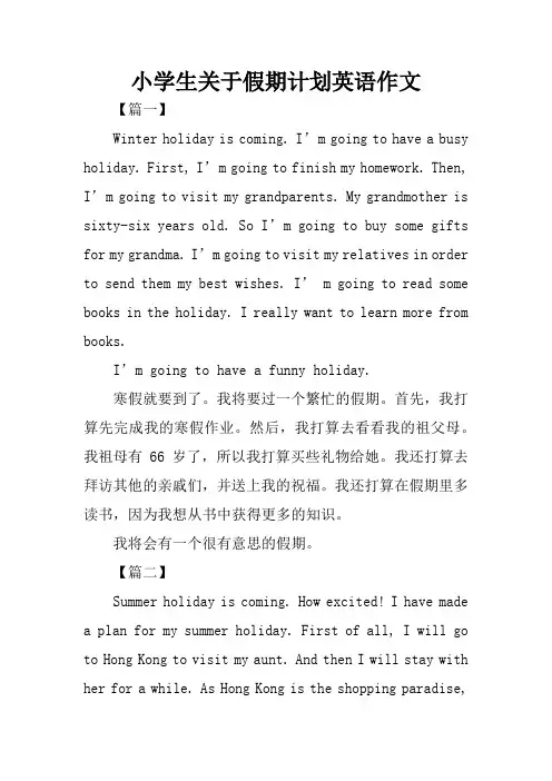 小学生关于假期计划英语作文 2