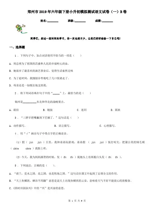 郑州市2019年六年级下册小升初模拟测试语文试卷(一)B卷