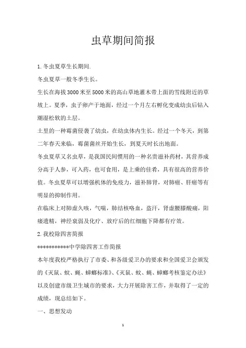 虫草期间简报