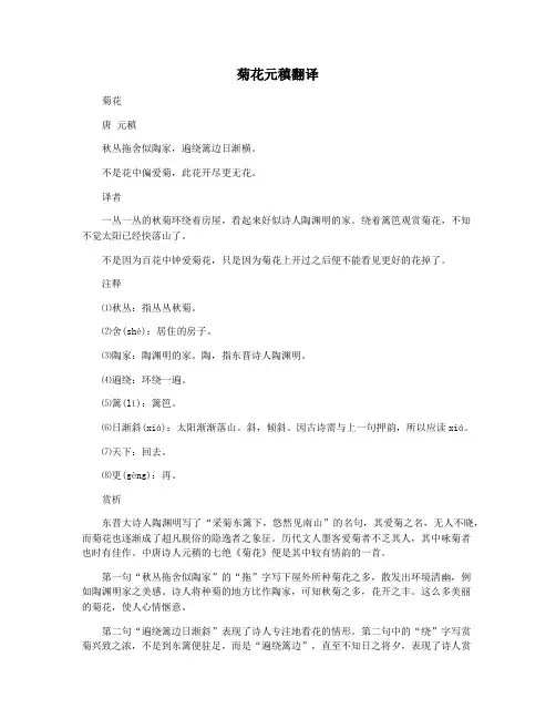 菊花元稹翻译