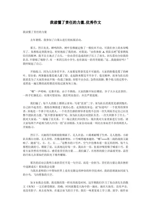 我读懂了责任的力量_优秀作文