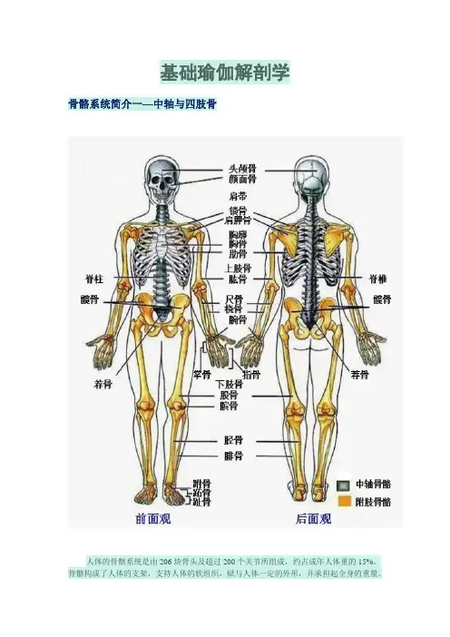 基础瑜伽解剖学