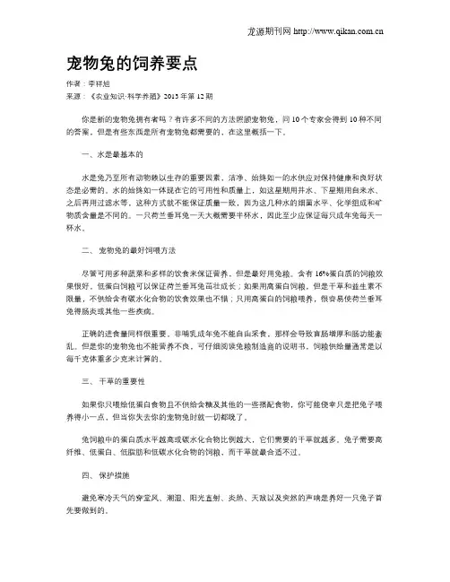 宠物兔的饲养要点