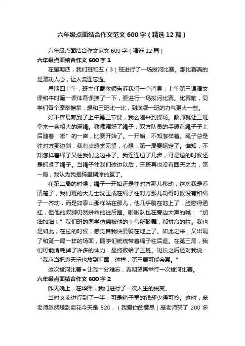 六年级点面结合作文范文600字（精选12篇）