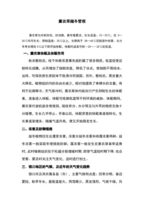 薰衣草越冬管理