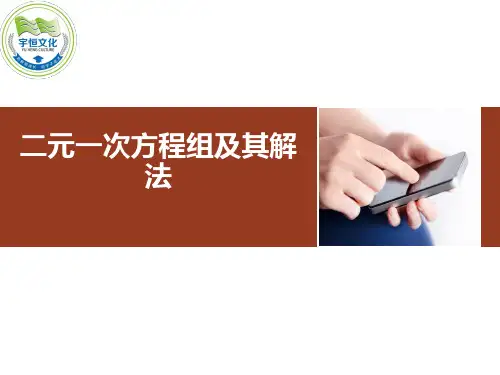 沪科版七年级上册33二元一次方程组及其解法PPT课件