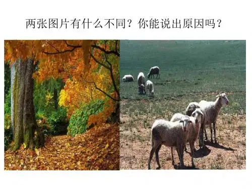 5.2 自然地理环境的差异性