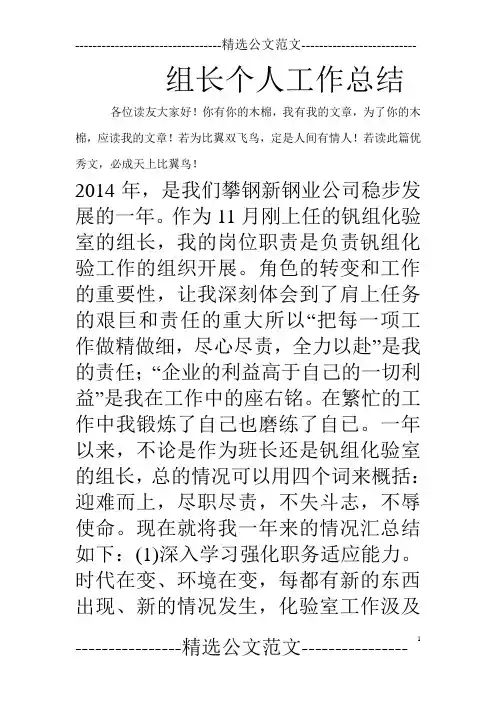 组长个人工作总结