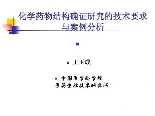 化学药物结构确证研究的技术要求与案例分析王玉成-PPT精品