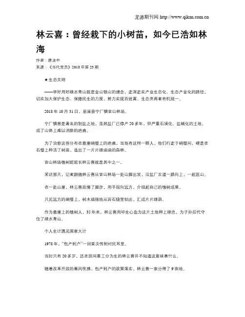 林云喜：曾经栽下的小树苗,如今已浩如林海