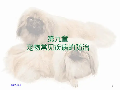 宠物常见疾病的防治PPT课件