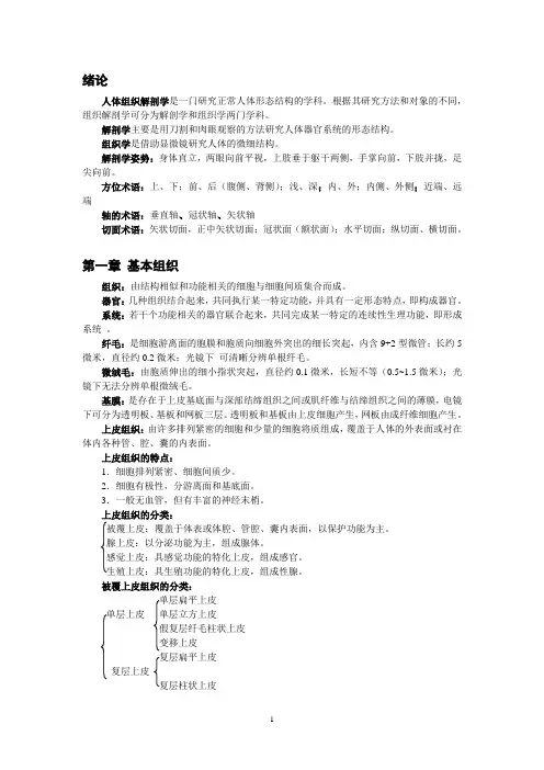 人体组织解剖学知识点