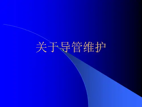 关于导管维护课件
