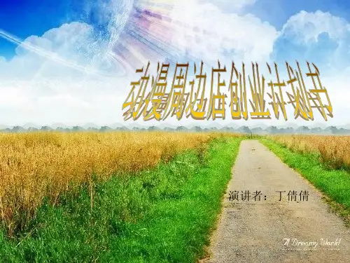 动漫店创业计划书