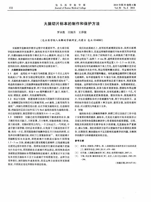 大脑切片标本的制作和保护方法