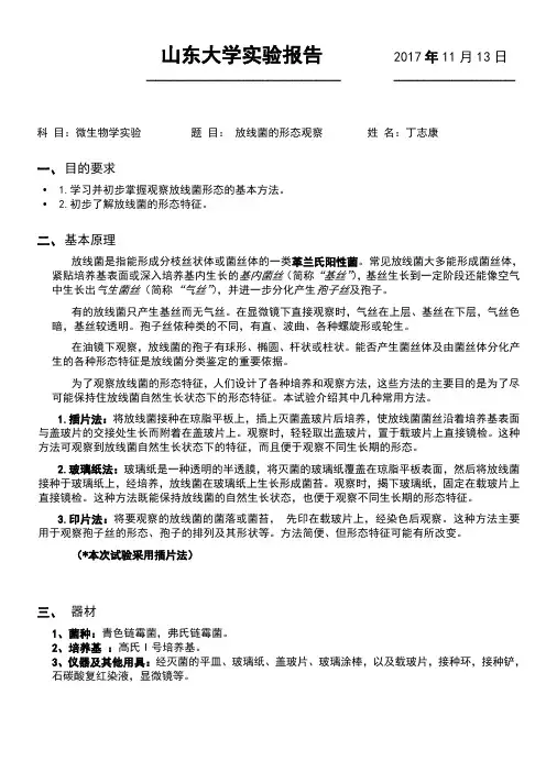 放线菌形态的观察实验报告