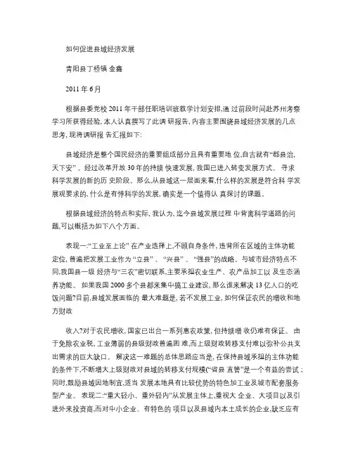 如何促进县域经济发展