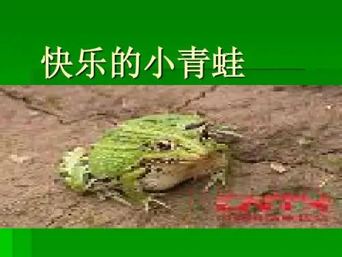 快乐的小青蛙