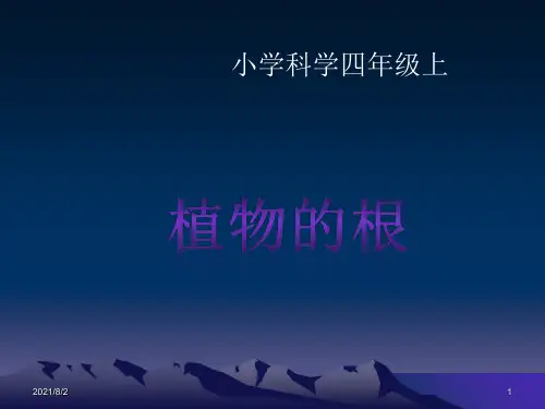 四年级科学《植物的根》