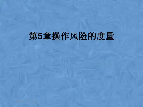 第5章操作风险的度量