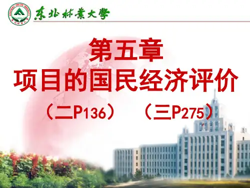 项目的国民经济评价