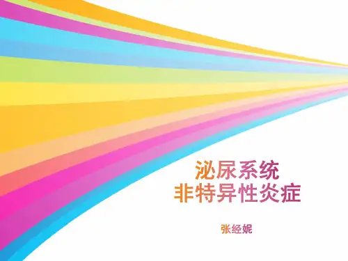 泌尿系统非特异性炎症