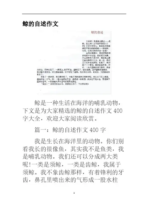 鲸鱼的自述+大