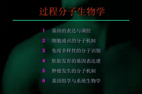 [生物学]过程分子生物学第六章