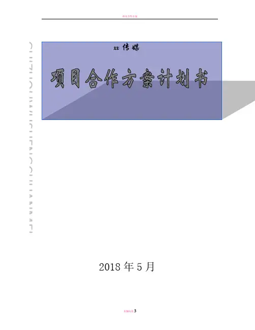 项目合作方案计划书 2