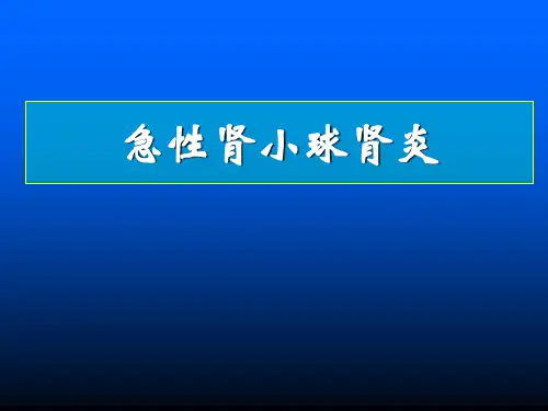 二、急性肾炎
