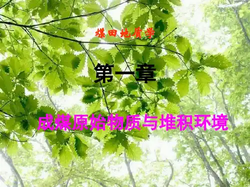 01成煤原始物质与堆积环境