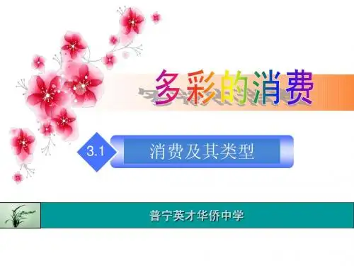 3.1消费及其类型