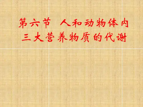 高二生物人和动物体内三大营养物质的代谢课件
