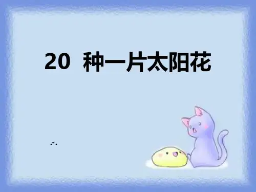 种一片太阳花(1)PPT课件