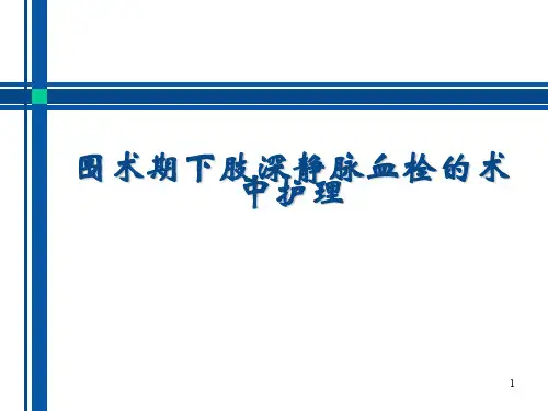 围术期下肢深静脉血栓的护理PPT参考幻灯片