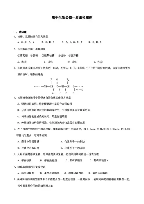 高中生物必修一质量检测题(答案)