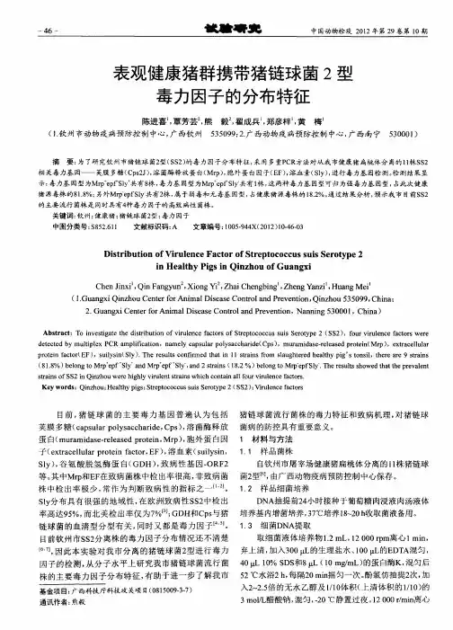 表观健康猪群携带猪链球菌2型毒力因子的分布特征