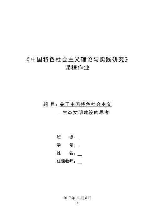 中国特色社会主义理论与实践研究-大作业