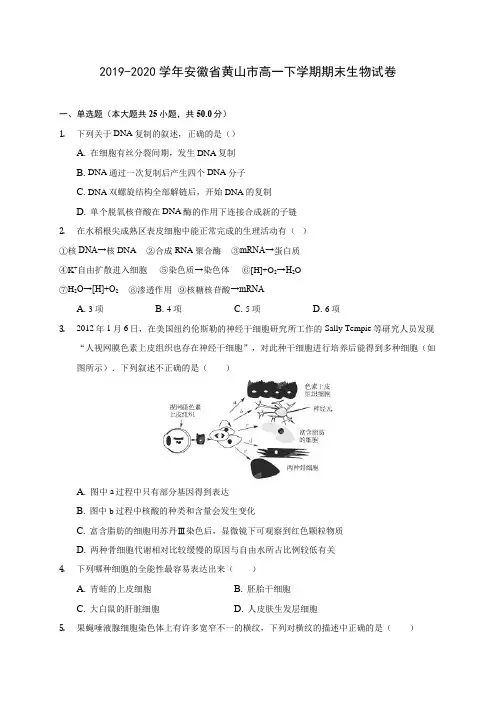 2019-2020学年安徽省黄山市高一下学期期末生物试卷(含答案解析)
