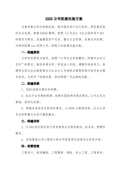 XXX公司组建实施方案