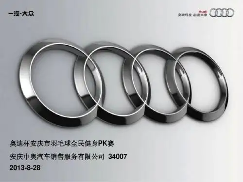 奥迪杯全民健身羽毛球PK赛概述.